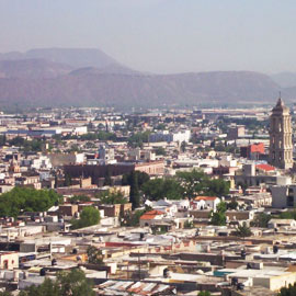 Fletes A Saltillos Transportes Salazar